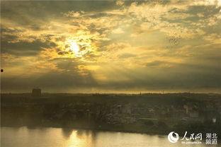 雨前的图片,捕捉自然瞬间的和谐之美