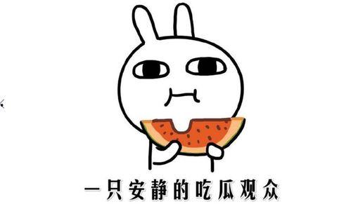 吃瓜事件是什么意思,网络舆论场中的热点追踪与反思