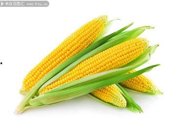 大苞米个人资料,才华横溢的年轻艺术家，用镜头讲述生活故事