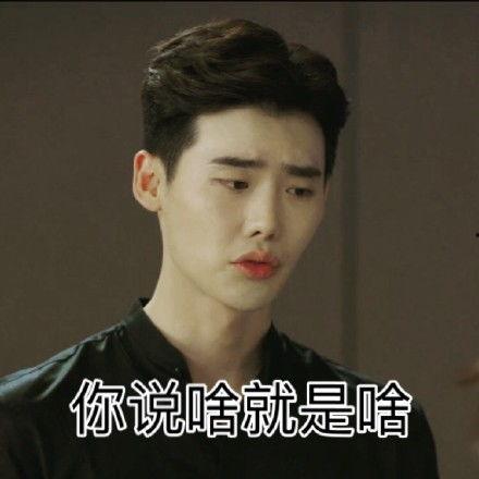 韩国男明星和刘雯,刘雯与韩国男星的璀璨联袂